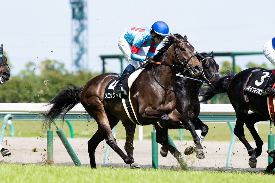 ソニックベガ 予定通り 柳川特別に登録 気ままにメモリアル