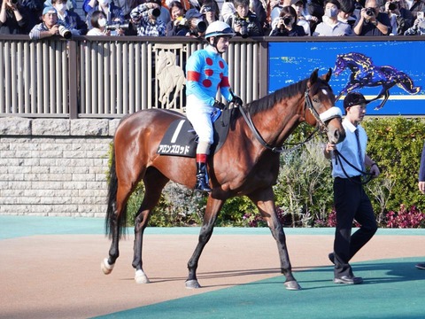 アロンズロッド4