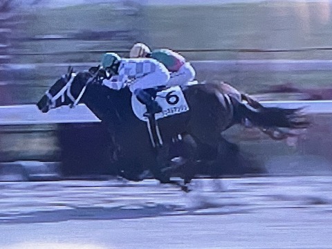 シュネルアンジュ2