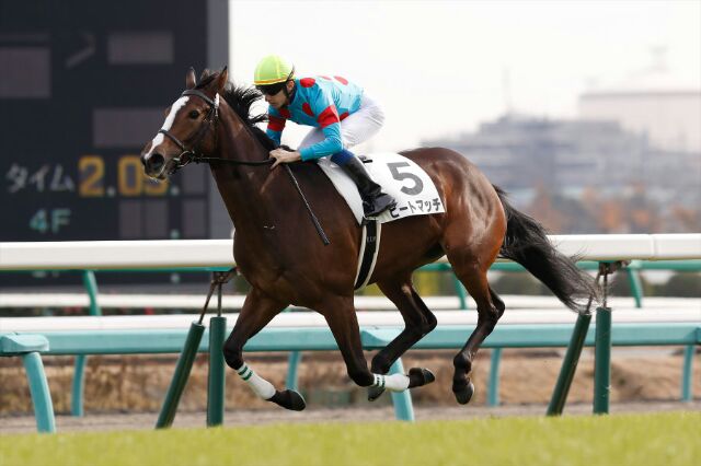 ビートマッチ 予定通り 山吹賞に登録 気ままにメモリアル
