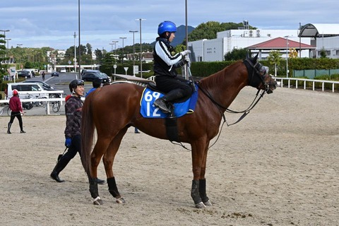 グロリアラウス