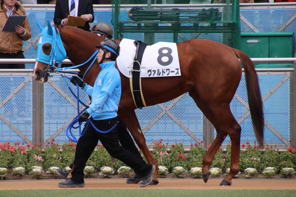 ヴァルドワーズ 出走情報 02 09 4歳以上1勝クラス 気ままにメモリアル