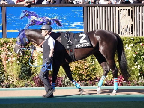 アヴニールドブリエ