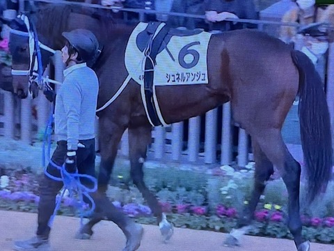 シュネルアンジュ3