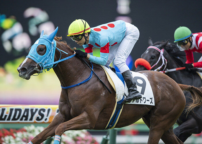 ヴァルドワーズ 立待岬特別に登録 気ままにメモリアル