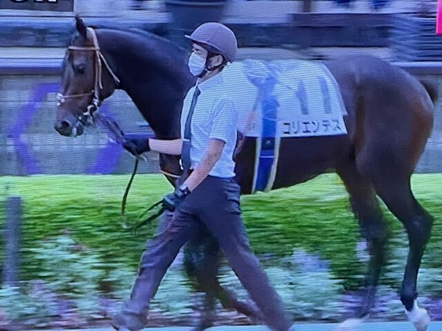 コリエンテス 21 10 10 2歳未勝利 3着でした 気ままにメモリアル コリエンテス 21 10 10 2歳未勝利 3着でした 気ままにメモリアル