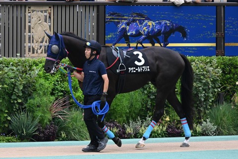 アヴニールドブリエ