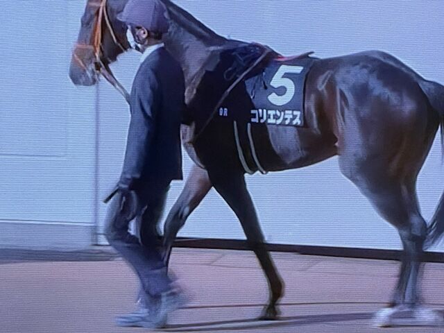 コリエンテス 21 12 04 葉牡丹賞 9着惨敗 気ままにメモリアル
