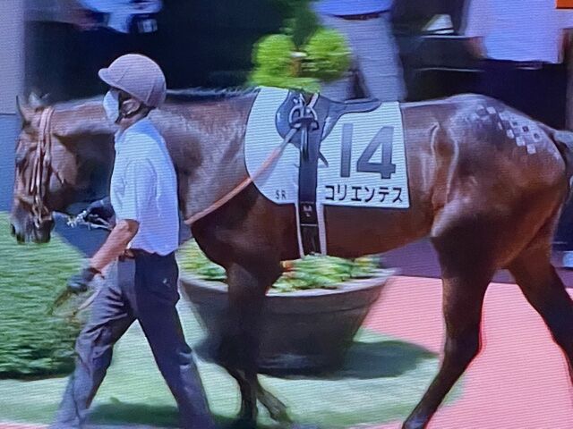 コリエンテス 21 07 24 メイクデビュー新潟 2着でした 気ままにメモリアル コリエンテス 21 07 24 メイクデビュー新潟 2着でした 気ままにメモリアル