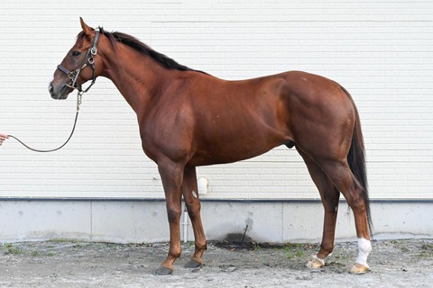 グラニットピーク