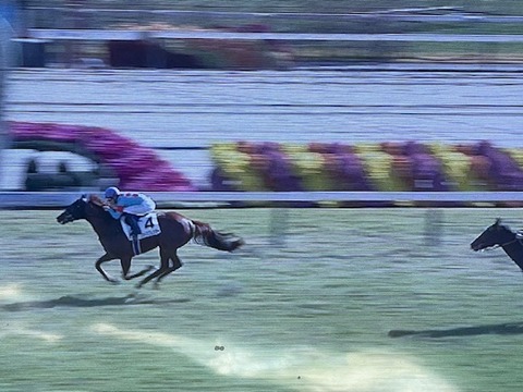 スカイスプレンダー3