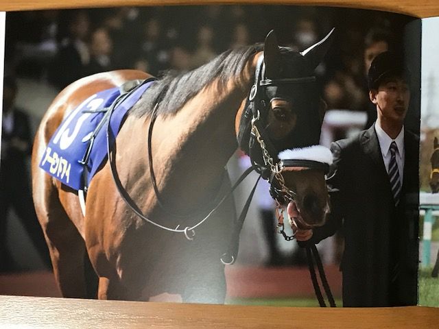 アーモンドアイ 桜花賞優勝記念品が届きました : 気ままにメモリアル