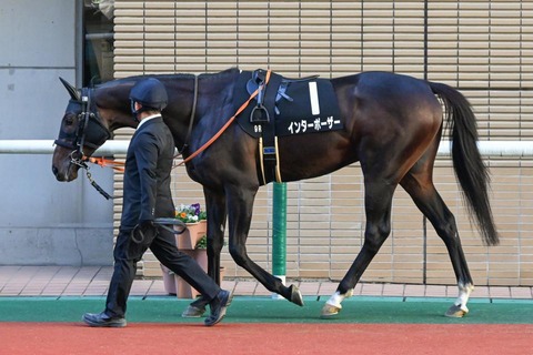 インターポーザ―3