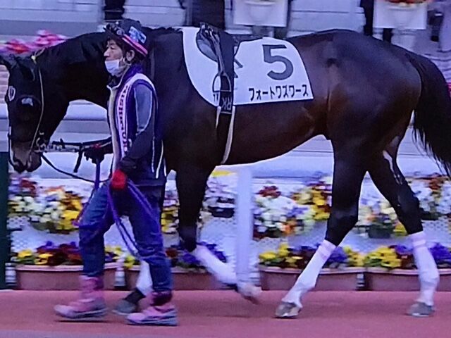フォートワズワース 21 03 13 4歳以上1勝クラス 9着 最下位 惨敗 気ままにメモリアル