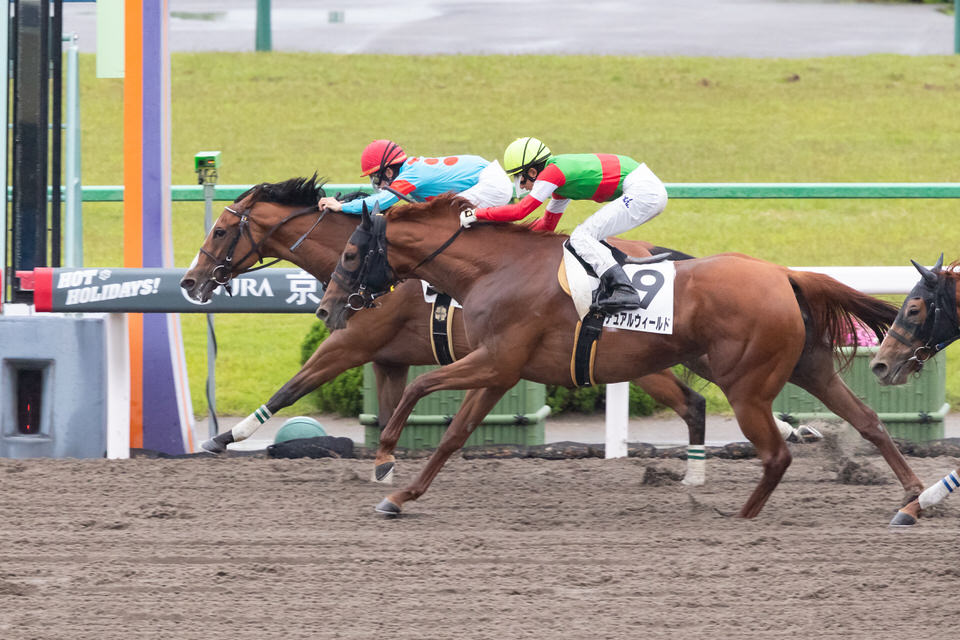 グランデストラーダ 予定通り 花のみちステークスに登録 気ままにメモリアル