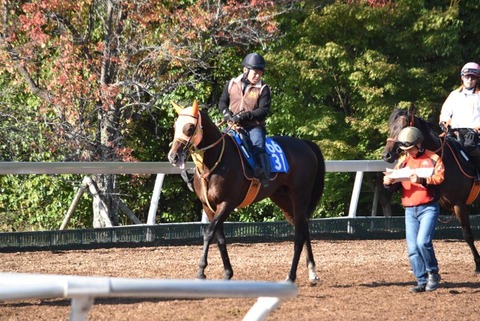 インターポーザ―