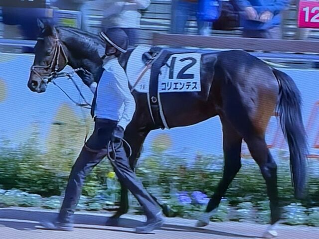 コリエンテス 22 03 12 3歳1勝クラス 3着でした 気ままにメモリアル コリエンテス 22 03 12 3歳1勝クラス 3着でした 気ままにメモリアル