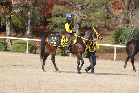 ピュアグルーヴ