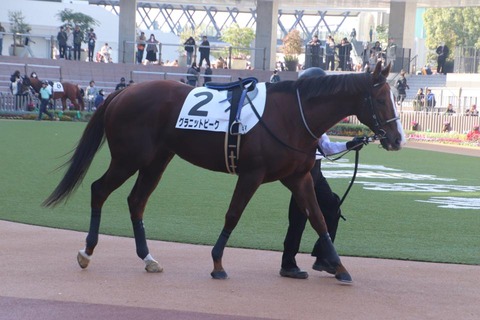 グラニットピーク5