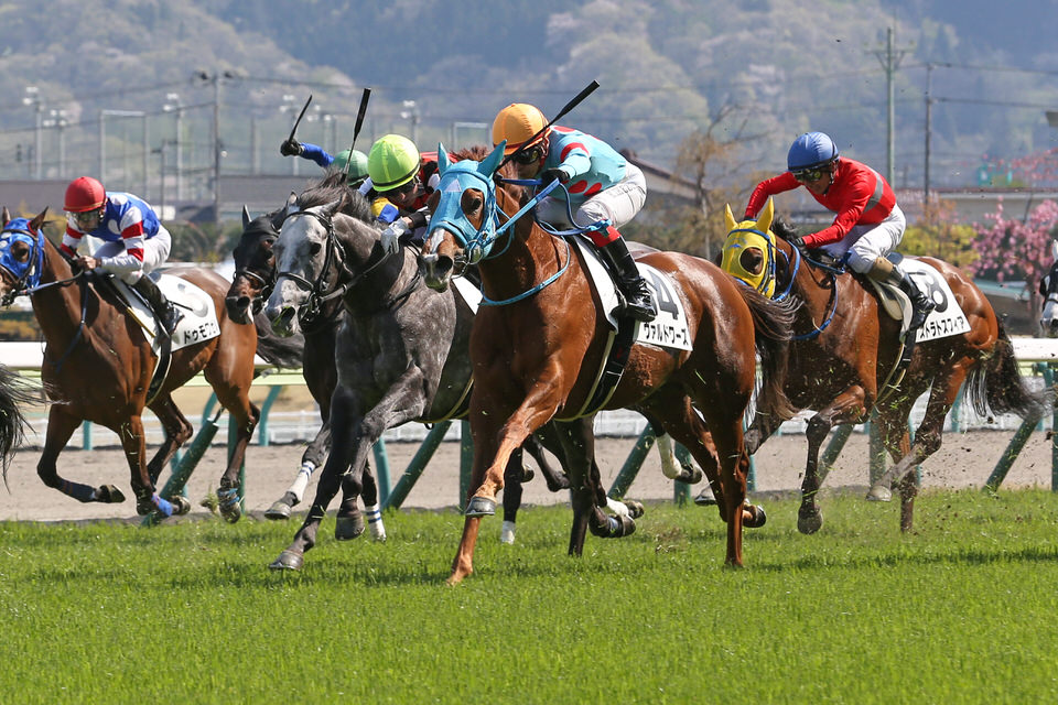 ヴァルドワーズ 予定通り 礼文特別に登録 気ままにメモリアル