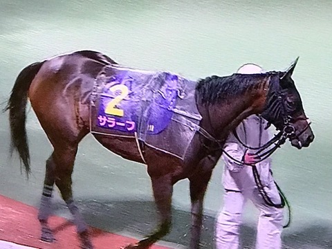 サラーブ 10 08 第17回レディスプレリュード 5着でした 気ままにメモリアル