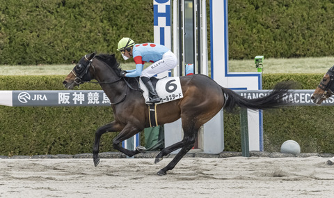 カールスタード8