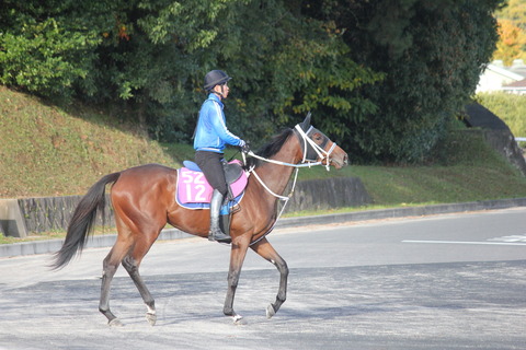 シュネルアンジュ8