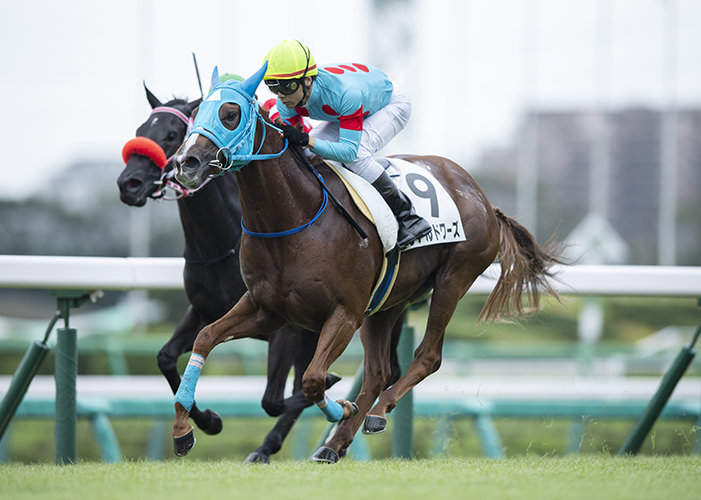 ヴァルドワーズ キャンディフロス 長万部特別に登録 気ままにメモリアル