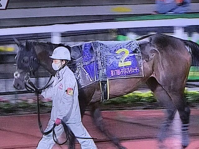 サラーブ 10 08 第17回レディスプレリュード 5着でした 気ままにメモリアル