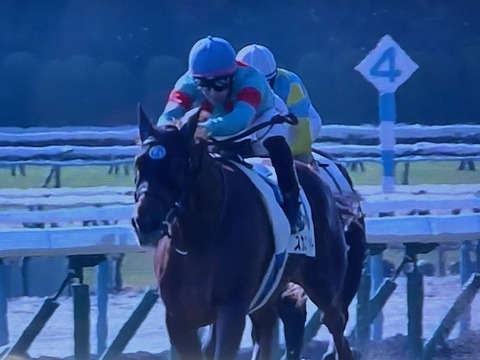 スカイスプレンダー