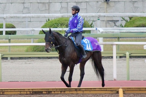 エンダードラゴン92