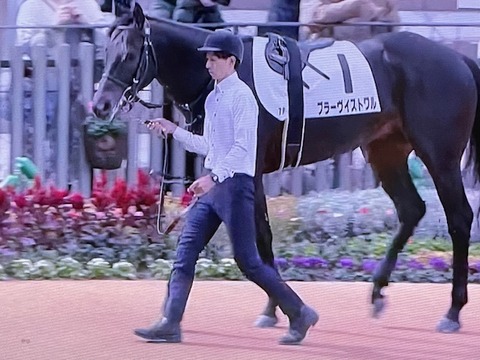 ブラーヴイストワル9