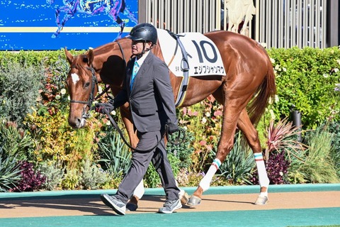 エジプシャンマウ3