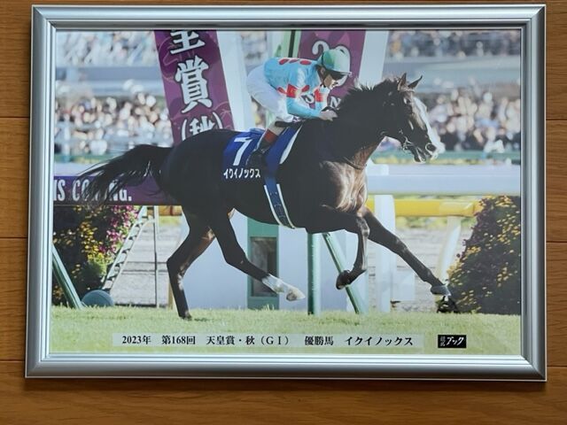 JRA 非売品 等身大パネル 天皇賞(秋) イクイノックス 2025年最新】イクイノックス パネルの人気アイテム - メルカリ