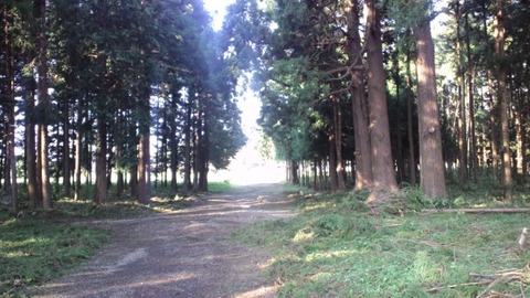 北山本門寺29三門跡