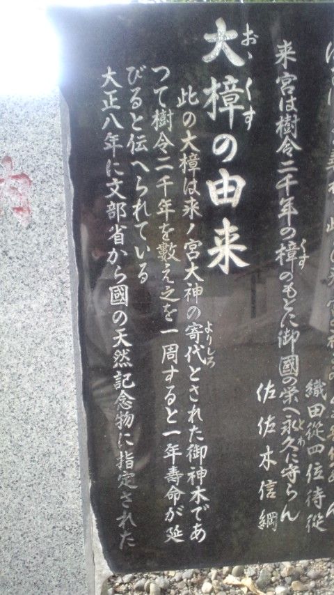 来宮大楠11