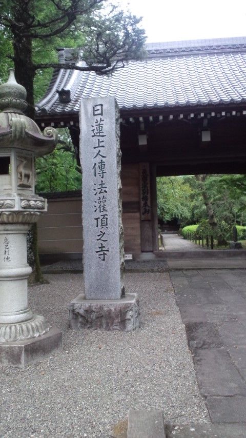 中院6