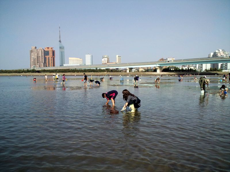 潮干狩り 九州のんびり気まぐれドライブ日記 潮干狩り 九州のんびり気まぐれドライブ日記