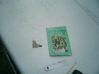 ハーブ始動 カモミールの種をまく 農業ってそういうことだったのか