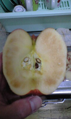 食べる気なくなるなぁ 俺の道 食べる気なくなるなぁ 俺の道