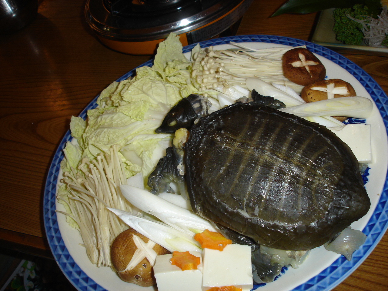 千里山 すっぽん ひでじろうの食べんまい飲まんまい