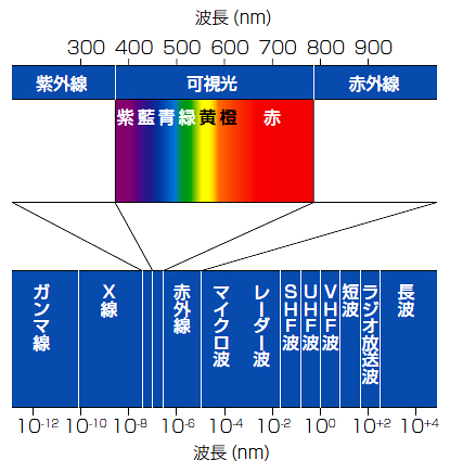 hikari