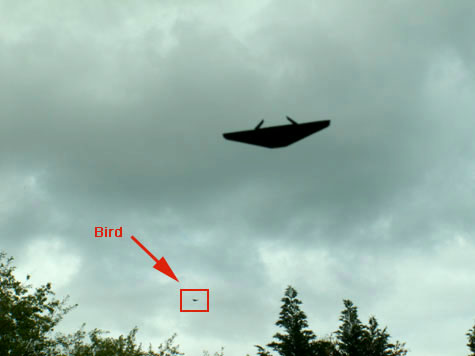 tr-3a_black_manta