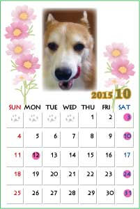 15年10月のカレンダー こーぎーこーぎー