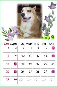 13年9月のカレンダー こーぎーこーぎー