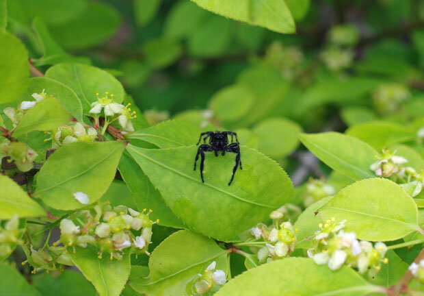 年05月04日 こーぎーこーぎー