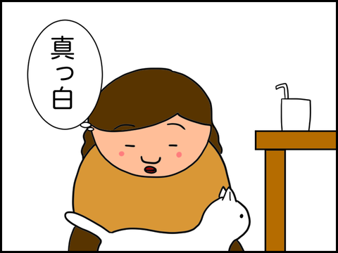 ねこかわいい