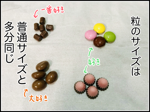 チョコのサイズ