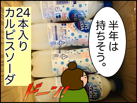 24本入りのカルピスソーダ