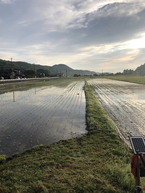 IMG_0232 - コピー